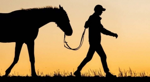 Чабан, присвоив лошадей, заявил об их падеже в Карагандинской области