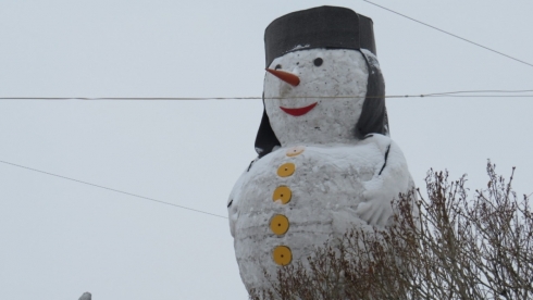 Самого большого снеговика слепили осужденные в Карагандинской области