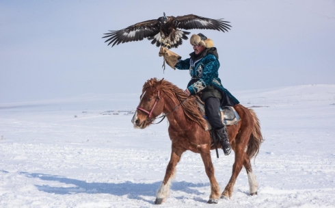 Величественные взлеты - карагандинец о чемпионате по охоте с ловчими птицами