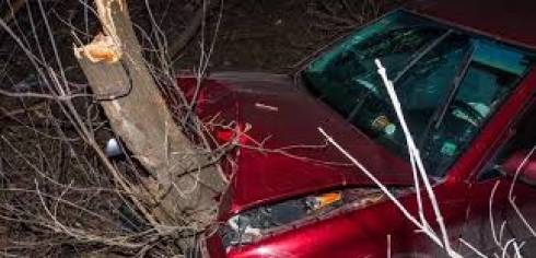 Авто врезалось в дерево возле здания полиции в Караганде: водитель погиб