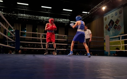 Более 200 спортсменов участвуют в престижном турнире по боксу в Караганде