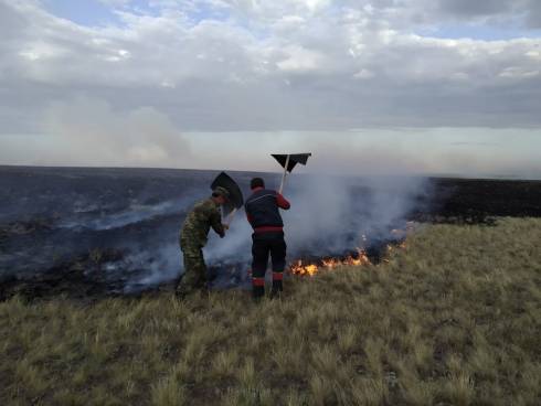В Карагандинской области продолжают бушевать лесные пожары
