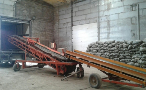 В Карагандинской области зарезервируют 600 тонн картофеля