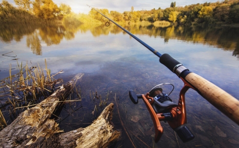 Рыбалку и охоту в Карагандинской области разрешат с 18 мая