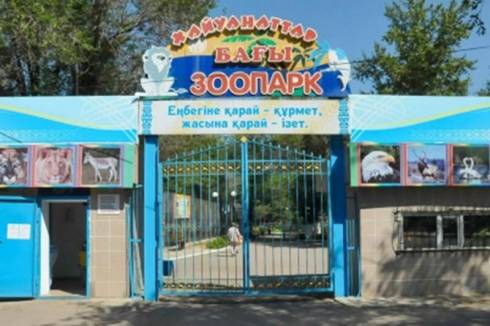Директор зоопарка Караганды предъявила волонтеру иск на полмиллиона тенге
