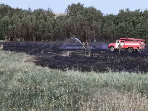Шесть степных возгораний произошло за сутки в Карагандинской области