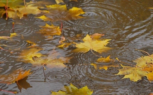 Как сообщили карагандинские синоптики, в первую неделю октября погода в регионе будет неустойчивой