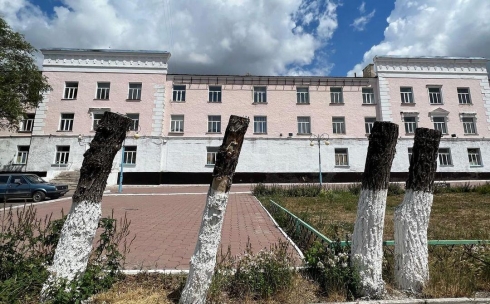 Карагандинцы припомнили акимату подрезанные деревья около Многопрофильного гуманитарно-технического колледжа