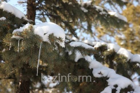 По-весеннему тепло будет в Казахстане 27-29 февраля