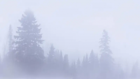 Туман, метель, гололед: прогноз погоды в Казахстане на 24 января