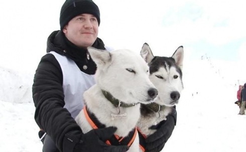 В Карагандинской области выбрали самых быстрых ездовых собак