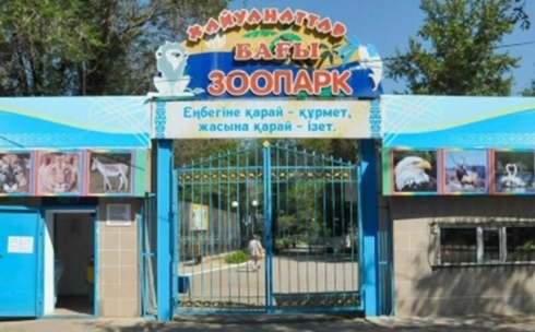 Директор карагандинского зоопарка обвиняет в клевете волонтера