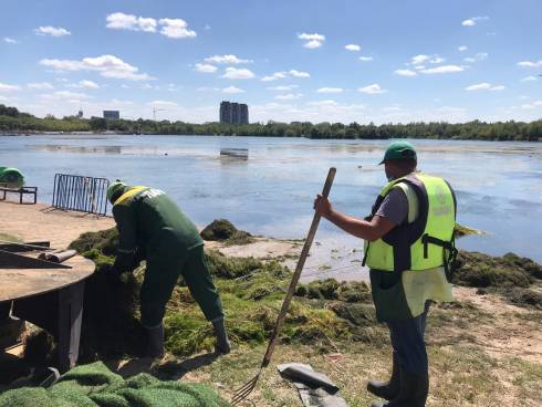 В Караганде начали очистку паркового озера от водорослей
