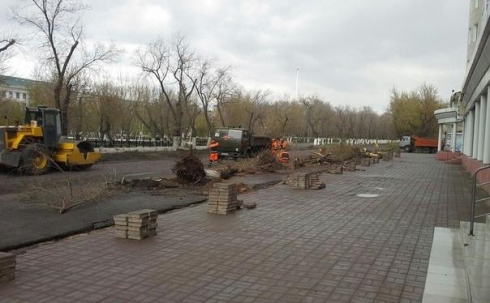 В Караганде на улице Ленина вместо 100 вырубленных деревьев посадят 450 