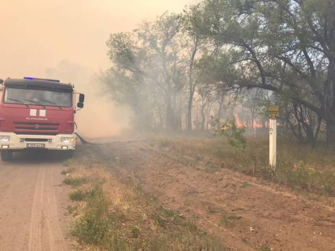 В Караганде снова горит лесопосадка в районе Кирзавода