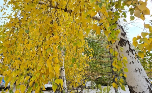 Золотая осень в Караганде