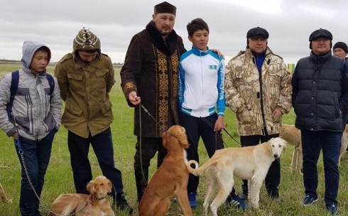 Лучшую породу собак назвали в Карагандинской области