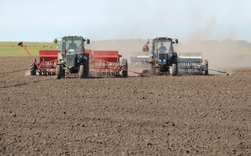 В Карагандинской области начались посев зерна и посадка овощей
