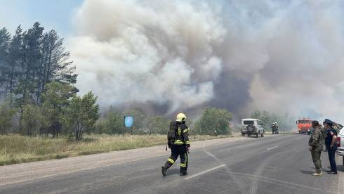 В Караганде из-за пожара в лесопосадке началась эвакуация дачников