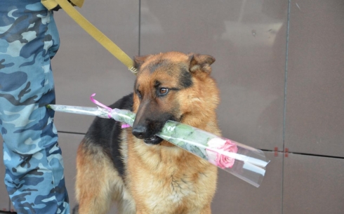Специально обученная собака дарила карагандинкам цветы