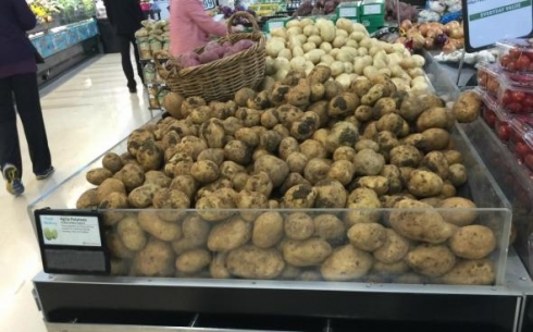 Не допустить роста цен на картофель в межсезонье обещают власти Карагандинской области