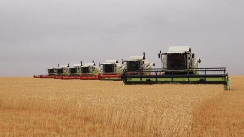 В Казахстане намолочено 12 млн тонн зерна