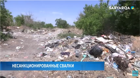 Несанкционированные свалки устроили недалеко от села Новоузенка