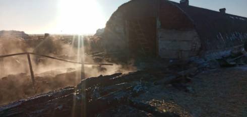Около 70 голов скота сгорело при пожаре в Карагандинской области