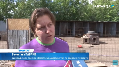 В Темиртау волонтеры посетили приют для животных