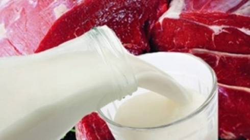 Введен временный запрет на ввоз мясных и молочных продуктов из РФ в РК