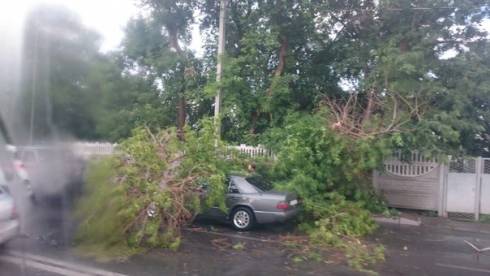 По ул. Луговая дерево упало на автомобиль
