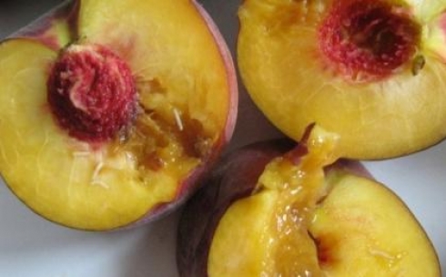 Из-за мухи запретили ввоз испанских персиков в Казахстан