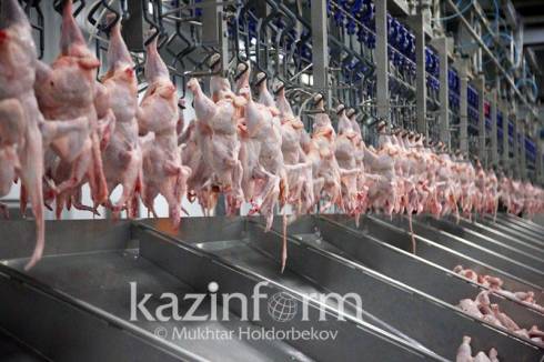 Увеличить производство мяса птицы намерены в Казахстане