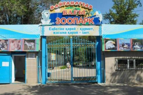 Директор зоопарка Караганды не доказала факт оскорблений в соцсетях