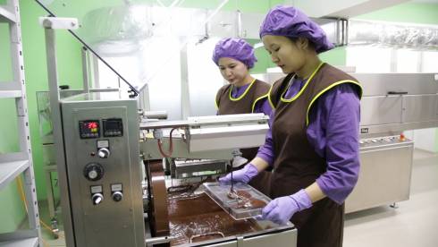 Шоколад для профилактики заболеваний на основе кобыльего молока появится в Казахстане