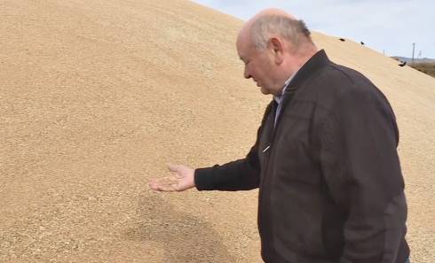 Какие меры предпринимают хлеборобы Карагандинкой области, чтобы сохранить урожай
