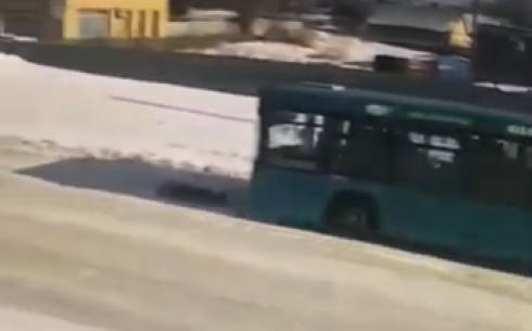 В Караганде водитель автобуса сбил женщину на пешеходном переходе
