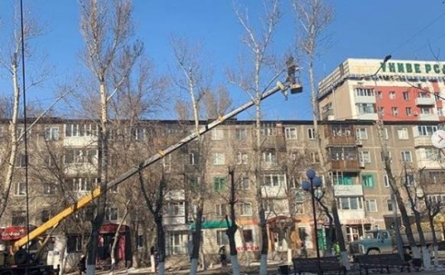 В сквере на проспекте Нуркена Абдирова была проведена санитарная обрезка деревьев