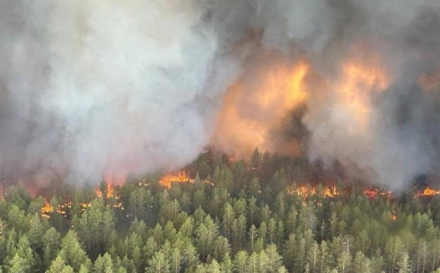 Готовы ли Службы пожаротушения Карагандинской области к вероятным пожарам?