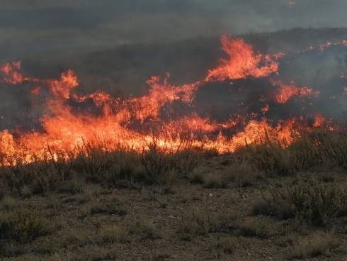 Степные пожары продолжают бушевать в Карагандинской области