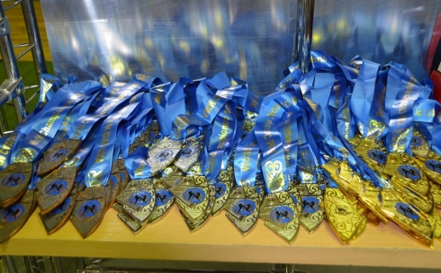 В Караганде награждены победители Открытого Чемпионата Мира по NOMAD MMA