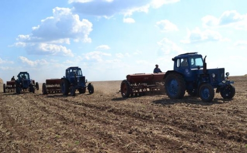 Нехватка удобрений обернулась положительным фактором для аграриев Карагандинской области
