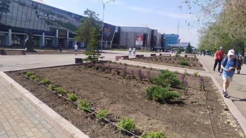 Площадь снова зацветёт: в Караганде начали высадку цветов возле ТД «Арбат»