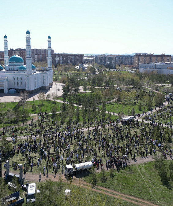 Караганда зеленеет: тысячи деревьев высадили в рамках акции «Таза Қазақстан»
