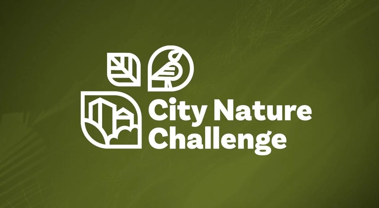 Караганда присоединится к международной акции City Nature Challenge