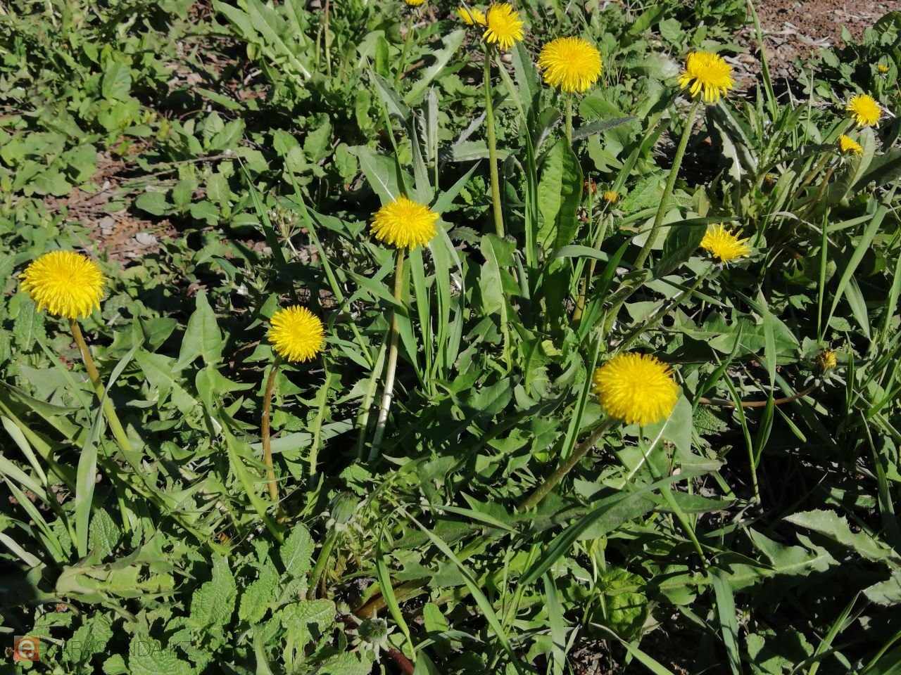 Погода на выходные: Караганду и область ждёт резкий перепад температуры