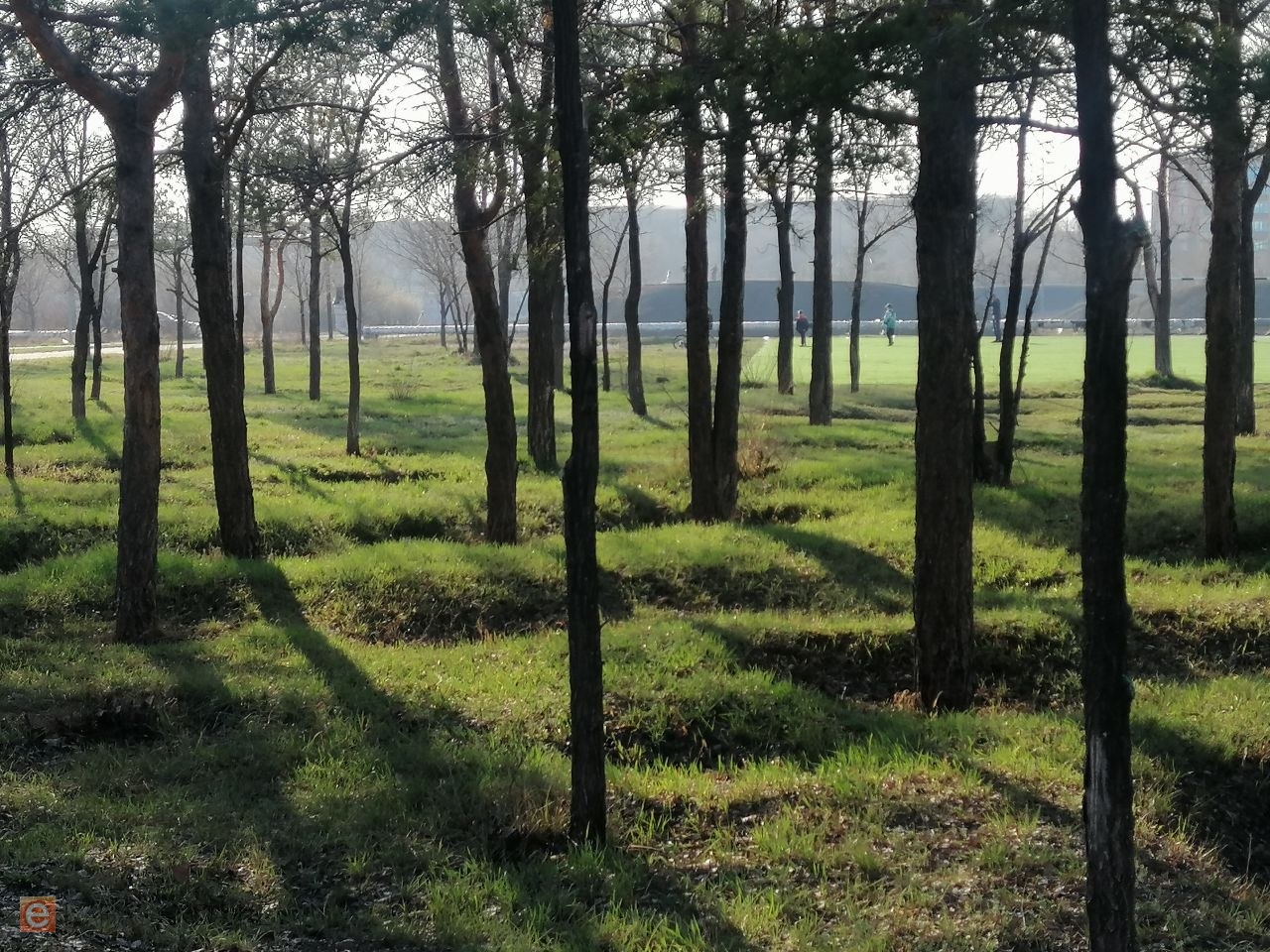 Погода на 14 апреля: в Карагандинской области сохранится весенняя неустойчивость
