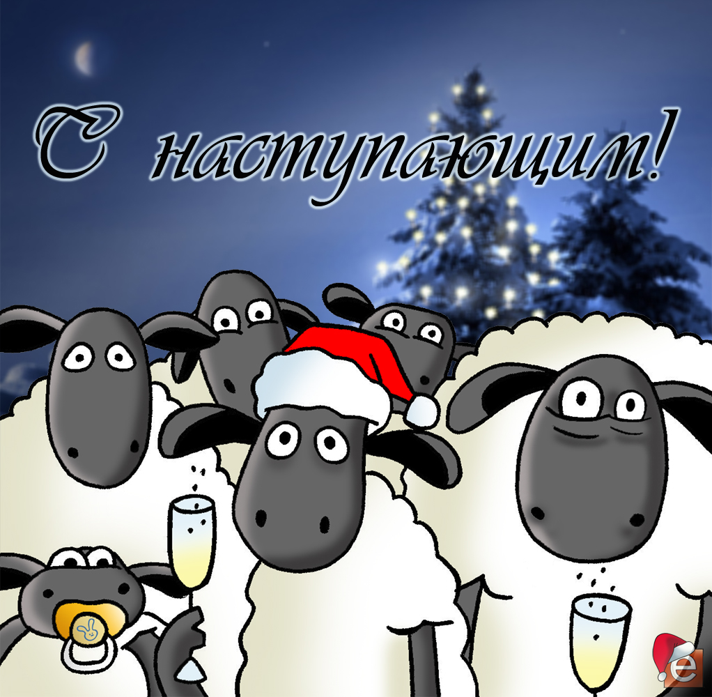 Поздравления С Новым Годом Овцы Смешные