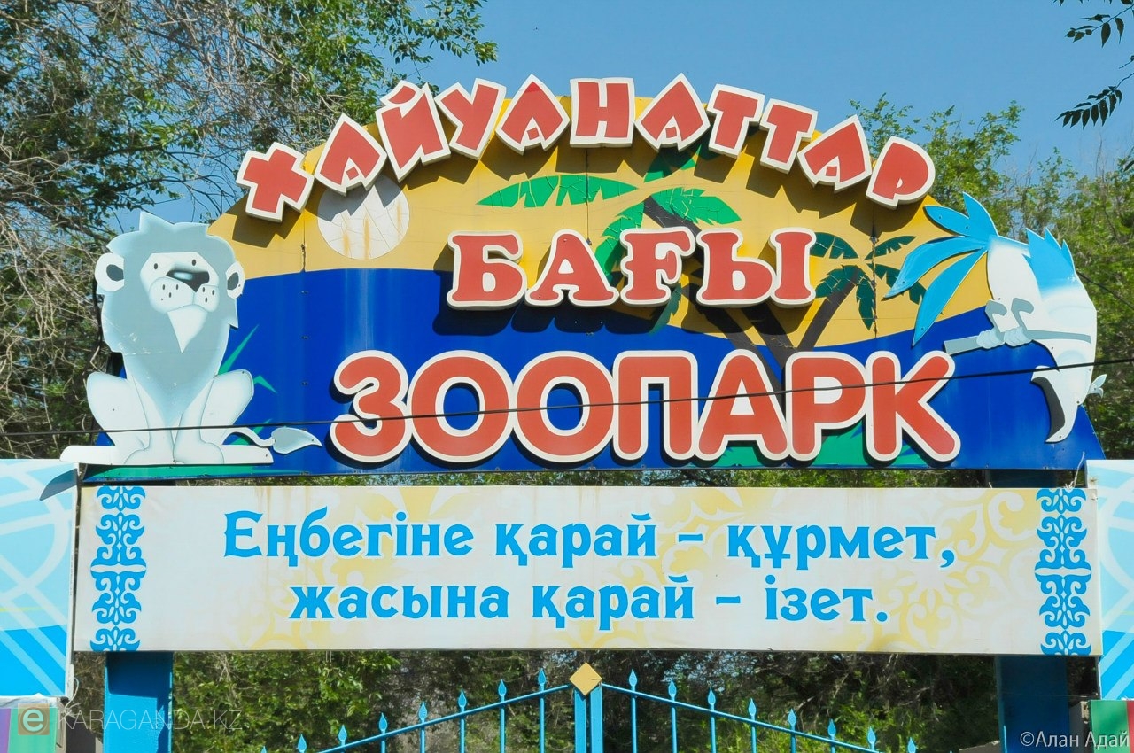 караганда зоопарк