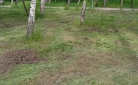 Почему в парке Караганды вместо ровного газона вырвали траву